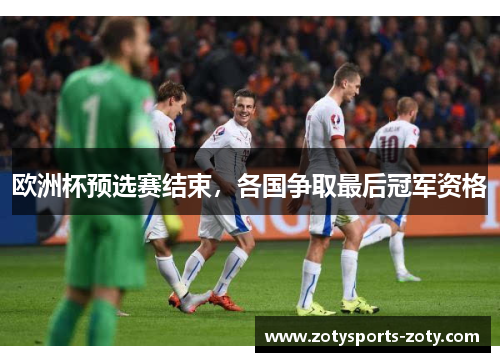 欧洲杯预选赛结束，各国争取最后冠军资格